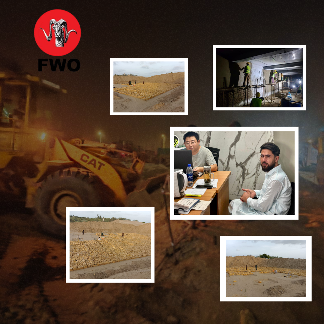 FWO NLC Projects
